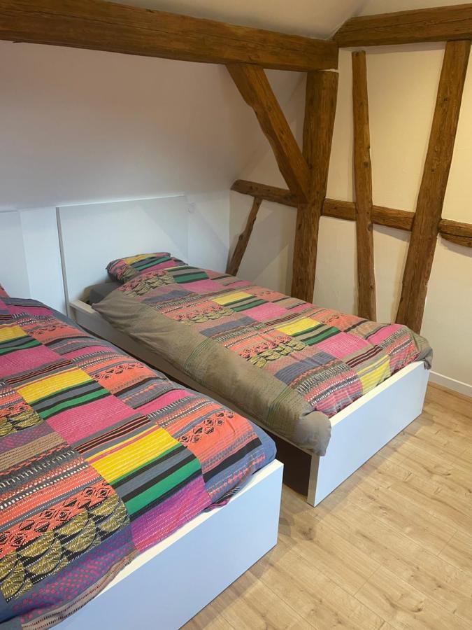 Gîte Elisa et léna Riquewihr Esterno foto